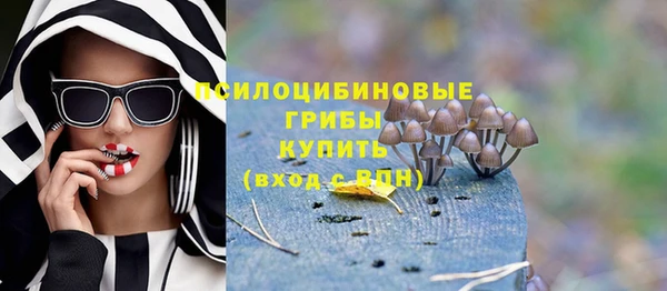 спайс Абаза