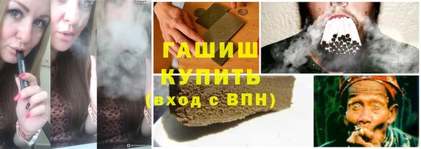 индика Абинск