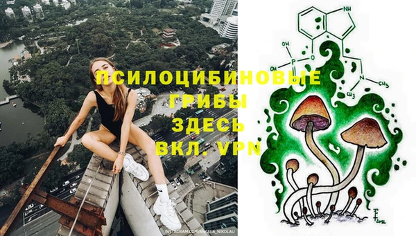 a pvp Алексин
