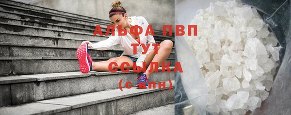 индика Абинск