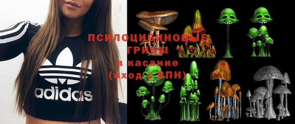 a pvp Алексин