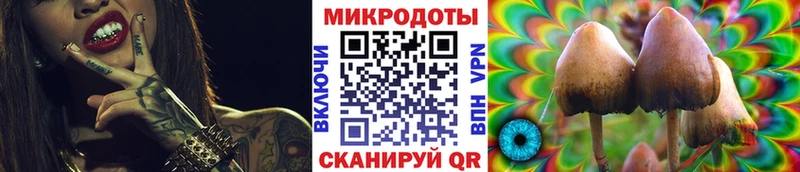 Псилоцибиновые грибы ЛСД  Троицк 