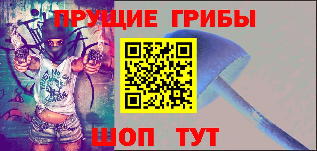 Псилоцибиновые грибы Psilocybine cubensis Троицк